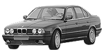 BMW E34 P0A0A Fault Code